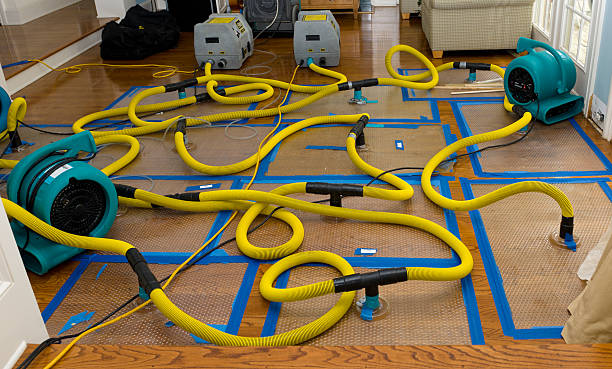 Professional Water Extraction technician working in Hereford, TX